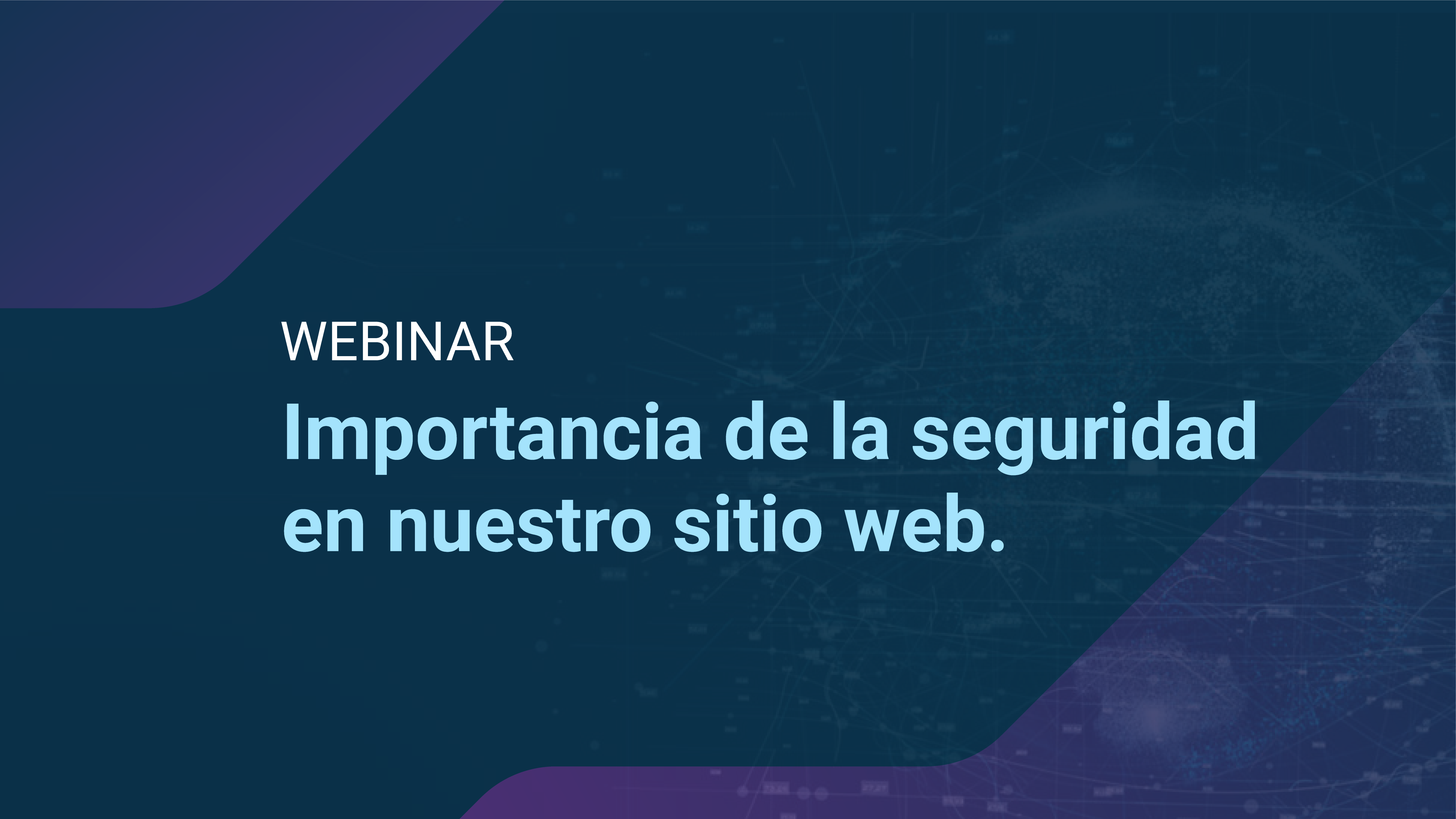 Importancia de la seguridad en nuestros sitios web.